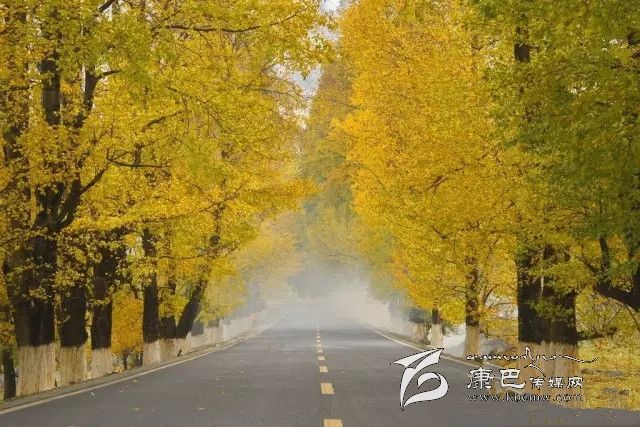康定新都橋，有一條黃金大道通往夢(mèng)中的天堂