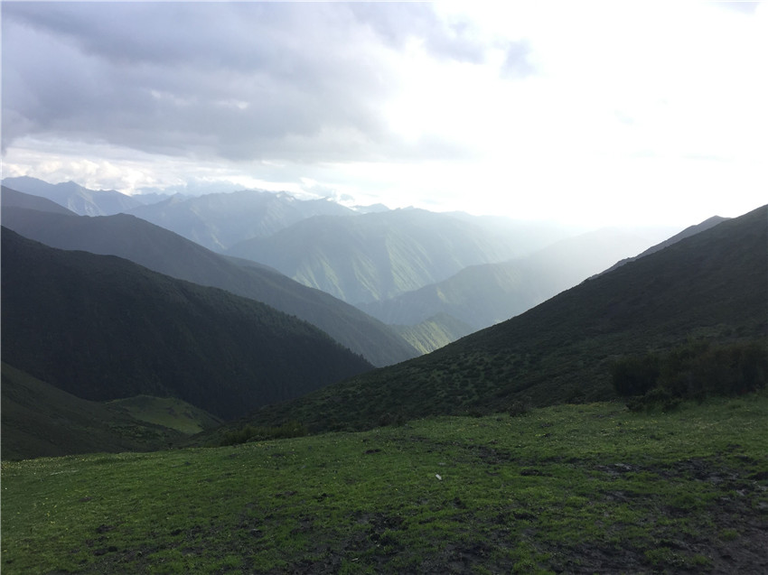牧場遠眺。.jpg