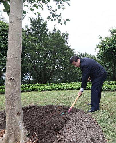 2012年12月7日至11日，習(xí)近平在廣東省考察工作。這是8日上午，習(xí)近平在深圳蓮花山公園種下一棵高山榕樹。新華社記者 蘭紅光 攝