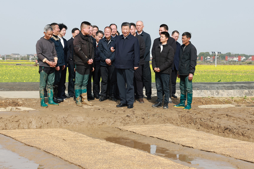 2024年3月18日至21日，中共中央總書記、國家主席、中央軍委主席習(xí)近平在湖南考察。這是19日下午，習(xí)近平在常德市鼎城區(qū)謝家鋪鎮(zhèn)港中坪村走進(jìn)田間，察看秧苗培育和春耕備耕進(jìn)展。新華社記者 王曄 攝